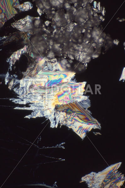 A Microscopic Crystals - Dollar Pic