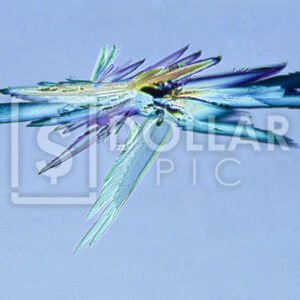 A Microscopic Crystals - Dollar Pic