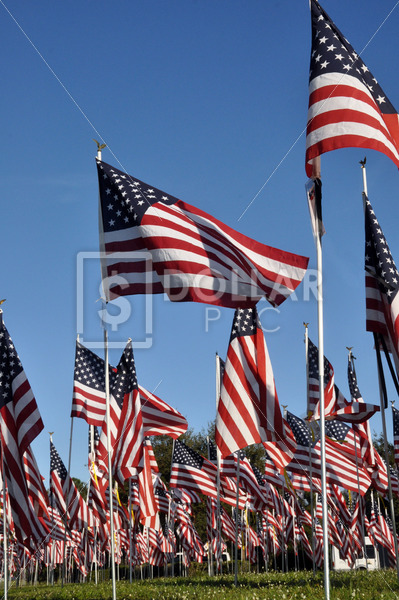 American Flag - Dollar Pic