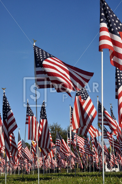 American Flag - Dollar Pic