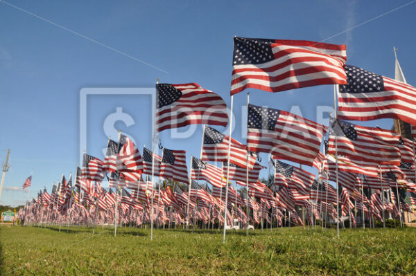 American flag - Dollar Pic