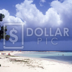 Aruba Beach - Dollar Pic