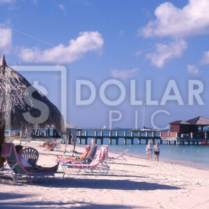 Aruba Beach - Dollar Pic