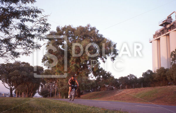 Bicyclist - Dollar Pic