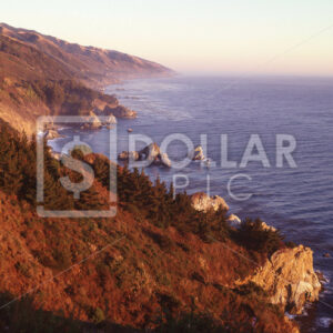 Big Sur Coastline - Dollar Pic
