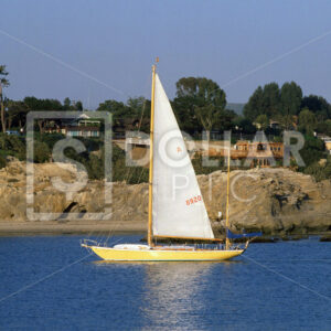 Boating Newport Beach - Dollar Pic