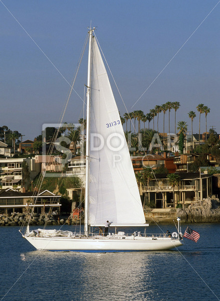 Boating Newport Beach - Dollar Pic