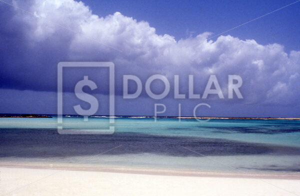Carribean Beach Aruba - Dollar Pic