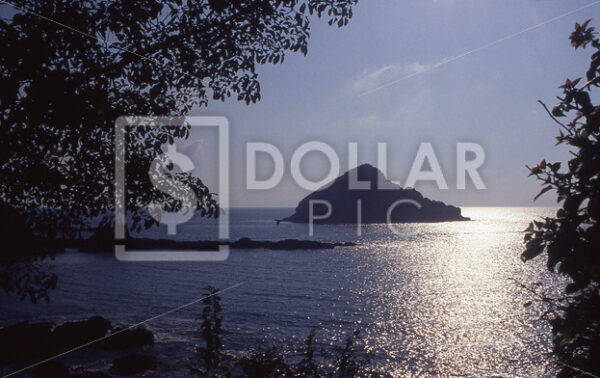 Costa Creyes Mexico - Dollar Pic