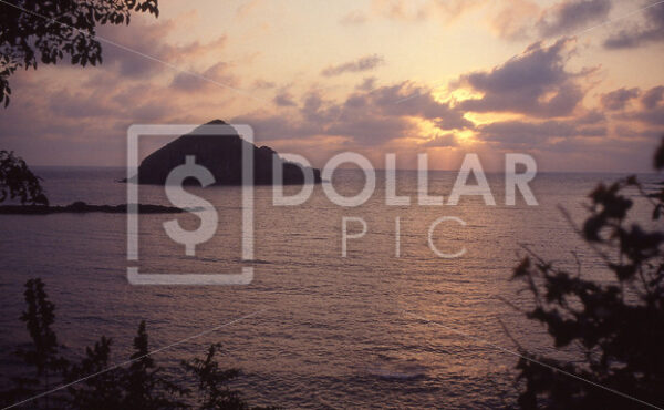 Costa Creyes Mexico - Dollar Pic