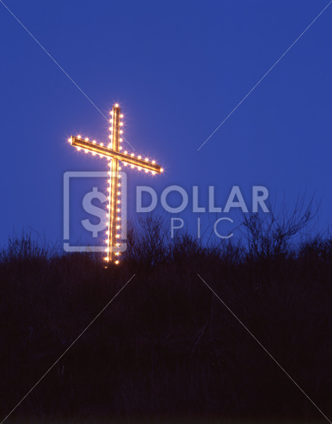 Cross - Dollar Pic