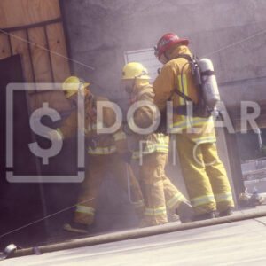 Fireman - Dollar Pic