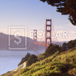 Golden Gate Bridge - Dollar Pic