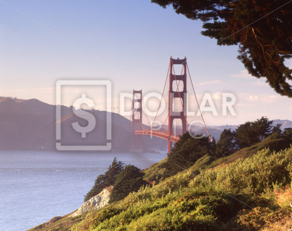 Golden Gate Bridge - Dollar Pic