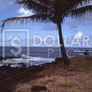 Hawaii - Dollar Pic
