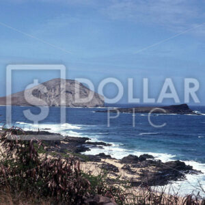 Hawaii Humana Bay - Dollar Pic