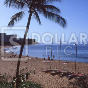 Hawaii, Maui - Dollar Pic