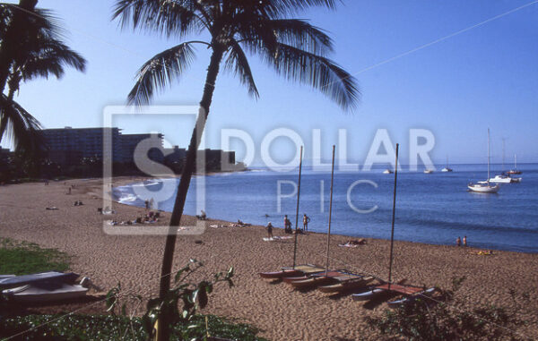Hawaii, Maui - Dollar Pic