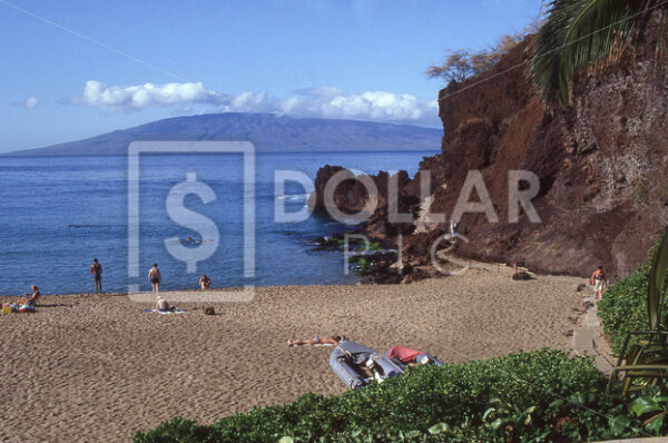 Hawaii Maui snorkling - Dollar Pic