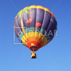 Hot Air Balloon - Dollar Pic