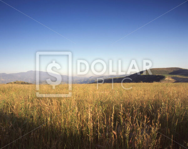 Landscape - Dollar Pic