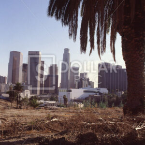 Los Angeles Day - Dollar Pic