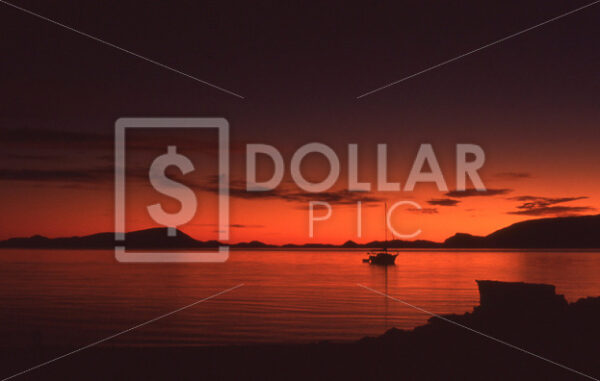 Mexico Bajia de Los Angeles - Dollar Pic