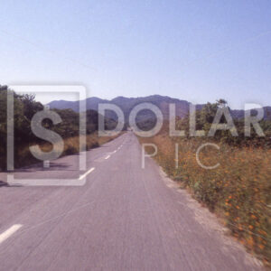 Mexico Highway - Dollar Pic