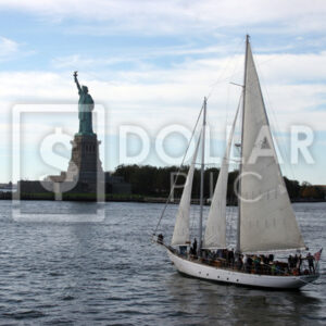 New York Liberty - Dollar Pic