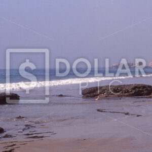 Ocean coastline - Dollar Pic
