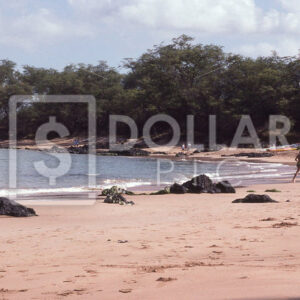 P. Rico Beach - Dollar Pic