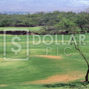 PR Golf Course - Dollar Pic