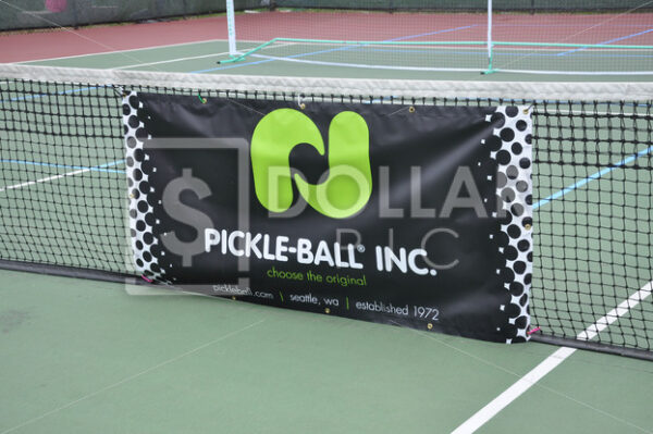 Pickleball1 - Dollar Pic