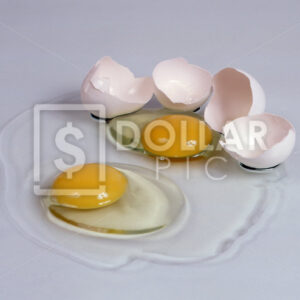 Raw Egg - Dollar Pic