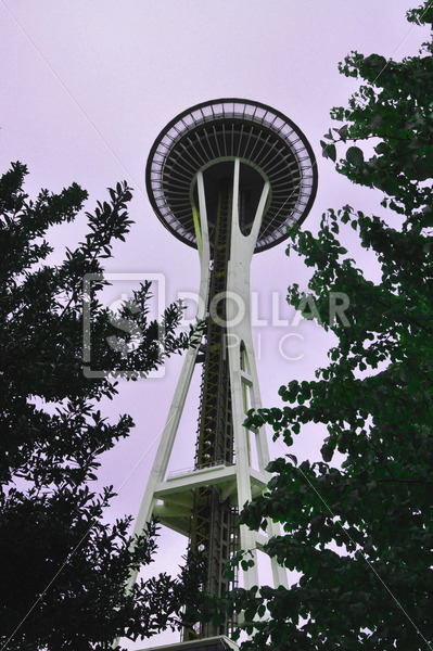 Seattle Space Needle - Dollar Pic