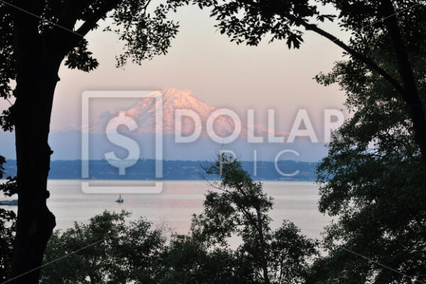 Seattle Wa Mt Rainer - Dollar Pic