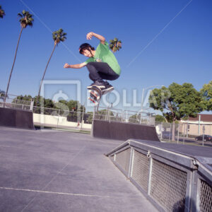 Skateboard - Dollar Pic
