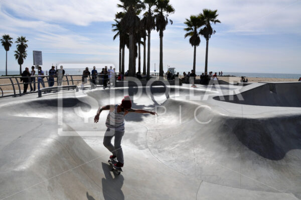 Skateboard1 - Dollar Pic