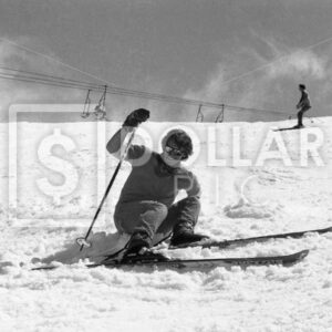 Ski1 - Dollar Pic