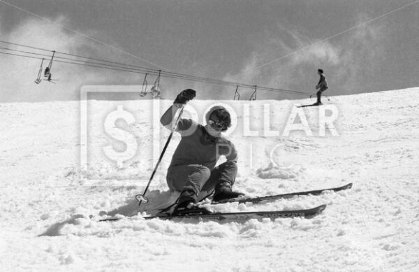 Ski1 - Dollar Pic