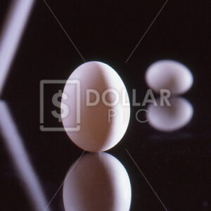 Solstice egg1 - Dollar Pic