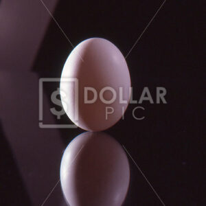Solstice egg2 - Dollar Pic