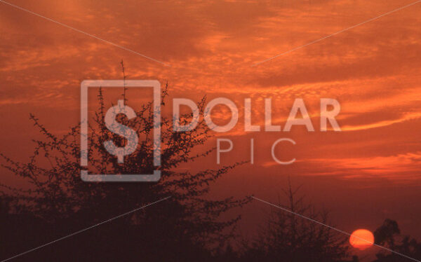 Sunset - Dollar Pic