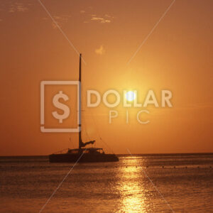 Sunset Catamaran - Dollar Pic