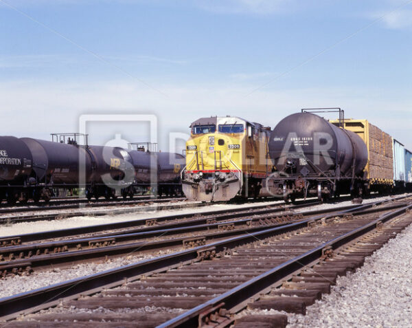 Trains Cargo - Dollar Pic