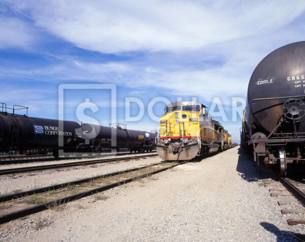 Trains Cargo - Dollar Pic