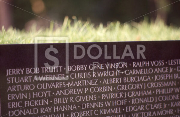 Vietnam Memorial Wall - Dollar Pic