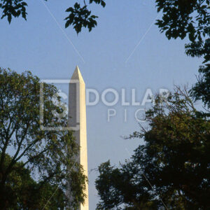 Washington DC - Dollar Pic