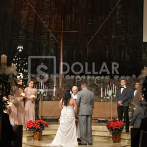 Wedding - Dollar Pic
