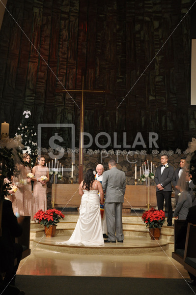 Wedding - Dollar Pic